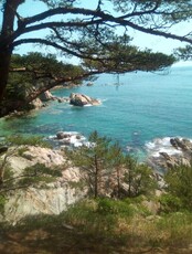 Тур «Восточный участок – гроты, сосны Бонсай и лазоревое море»