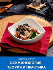 Мастер-класс «Осьминология: теория и практика»