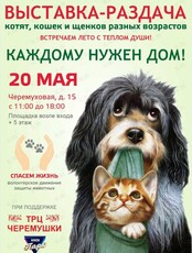 Благотворительная выставка-раздача котят, кошек и щенков разных возрастов