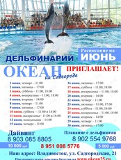 Шоу с морскими животными и дельфинами