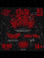 Metal-Hardcore Gig