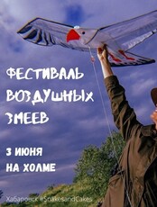 Фестиваль воздушных змеев