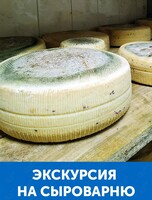 Экскурсия на сыроварню