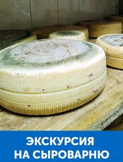 Экскурсия на сыроварню