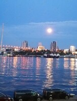 Экскурсия «Огни вечернего Владивостока»