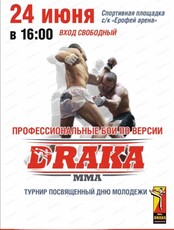 Турнир среди профессионалов по версии "Драка"