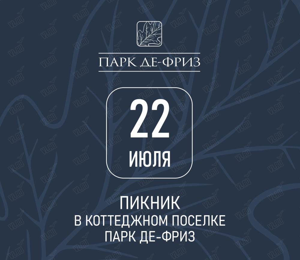 Семейный пикник в коттеджном посёлке «Парк Де-Фриз» во Владивостоке 22 июля  2023 в Парк Де-Фриз