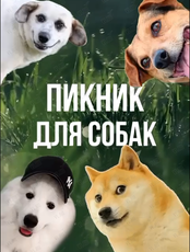 Пикник для собак
