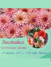 Выставка "Городские цветы"