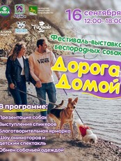 Фестиваль-выставка беспородных собак "Дорога домой"
