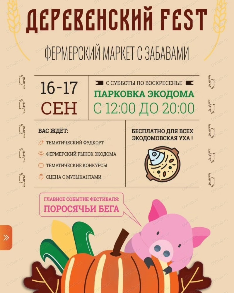 Деревенский fest в Хабаровске 17 сентября 2023 в ЭкоДом