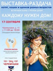 Благотворительная выставка-раздача кошек и собак разных ворастов