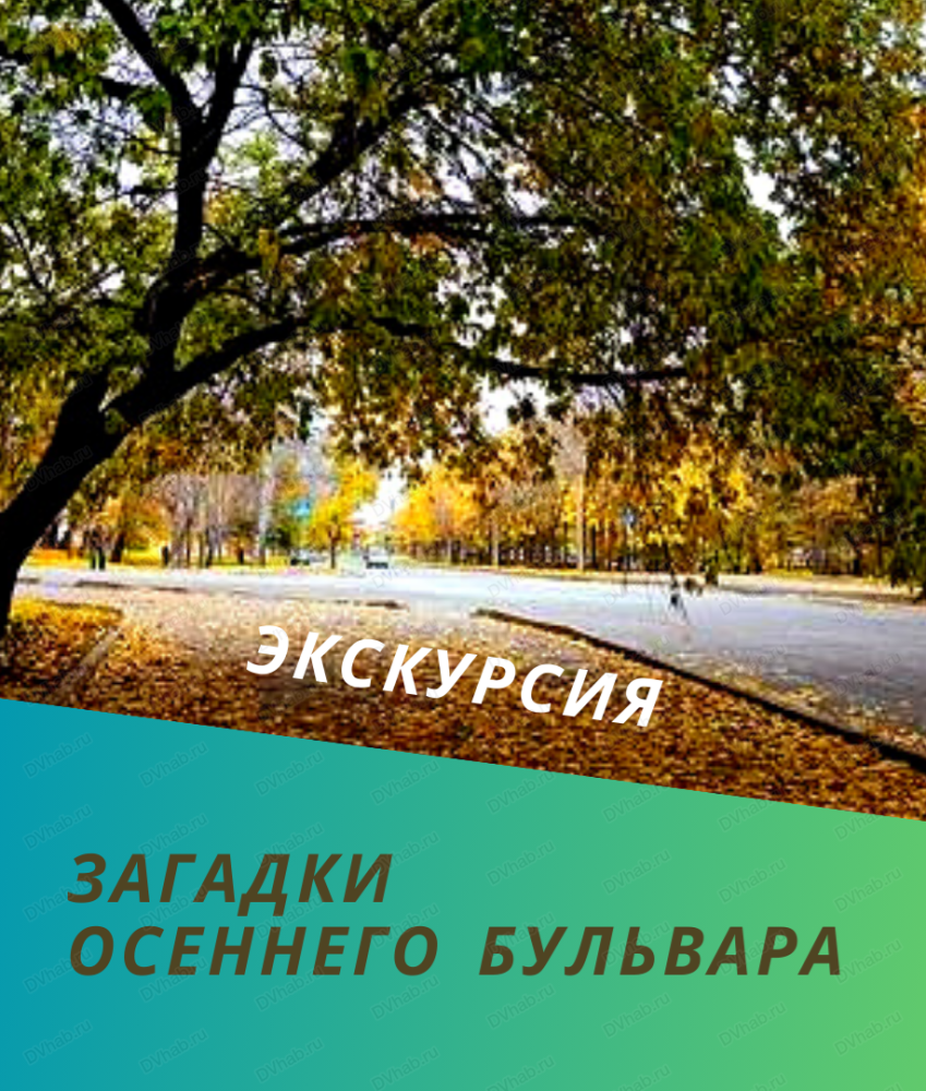 Двхабру. Хабаровск hub. Двхабру. Дв хаб лого. Двхабру.