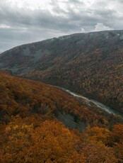 Познавательная программа «Сокровища приморской тайги»