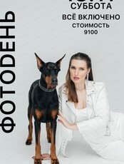 Фотодень с доберманом