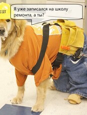 Встреча "Школа ремонта"