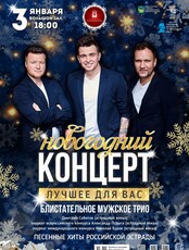 Новогодняя концертная программа «Новогодний концерт Блистательного мужского трио»