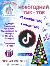 Детская программа "Новогодний Тик Ток"
