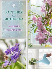 Обучающий курс «Растения для интерьера»
