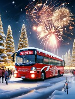 Экскурсия по Хабаровску "Новогодняя обзорная" (сборная группа)