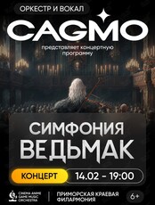 Оркестр CAGMO. Концерт «Симфония The Witcher»