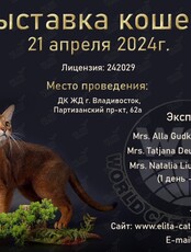 Международная выставка кошек