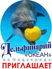 Дельфинарий