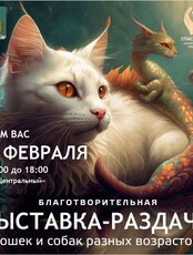 Благотворительная выставка-раздача животных