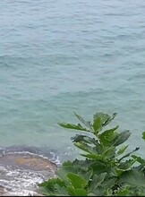 Экскурсия на полуостров Гамова