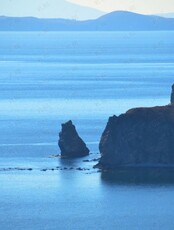 Тур "Японское море и острова, тропа Леопарда и бассейн в Теплом море"