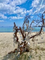 Тур «Пески Астафьева»