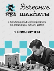 Встреча "Вечерние шахматы с Владимиром Александровичем"