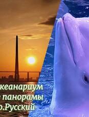 Тур "Приморский океанариум и морские панорамы острова Русский"
