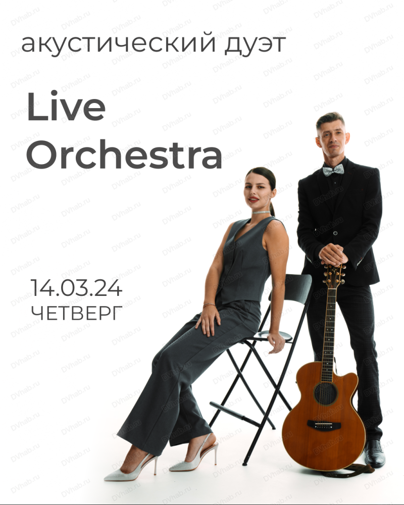 Акустический дуэт Live Orchestra в Хабаровске 14 марта 2024 в Забрели