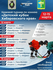 Краевой турнир по хоккею "Детский кубок Хабаровского края"