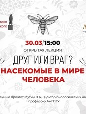 Проект "Ликей". Лекция "Насекомые в мире человека"