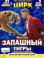Цирковая программа Ярослава Запашного "Тигры на земле и в воздухе"