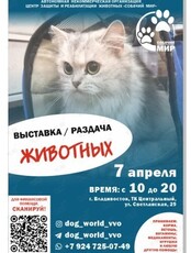 Выставка-раздача кошек и собак