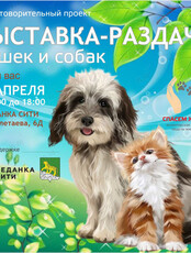 Благотворительная выставка-раздача животных