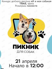 Городской пикник для собак