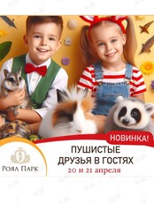 Развлекательная программа "Выходные-сюрприз: программы с животными, сумасшедшая коробка, концерт, конкурсы"