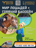 Экскурсия "Мир лошадей + горячий бассейн"