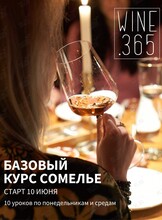 Школа сомелье WINE.365 — Базовый курс по вину и виноделию
