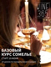 Школа сомелье WINE.365 — Базовый курс по вину и виноделию