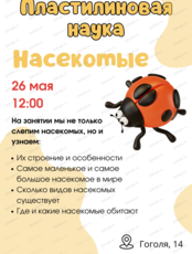 Занятие по лепке "Насекомые"