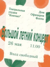 Большой летний концерт. Показ спектаклей