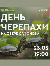 День черепахи на озере Сафонова