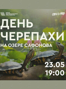 День черепахи на озере Сафонова