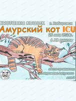 Выставка кошек "Амурский кот"