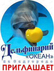 Дельфинарий